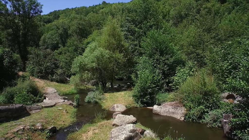 Villa Moulin De Record Ferrieres  Esterno foto