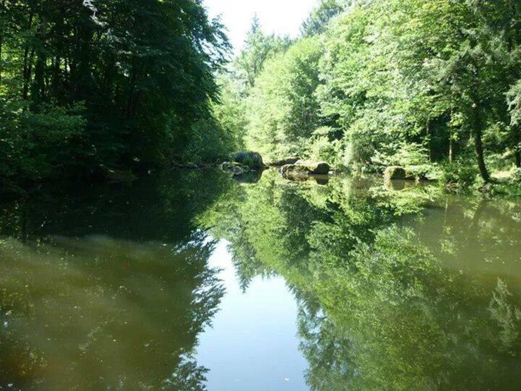 Villa Moulin De Record Ferrieres  Esterno foto