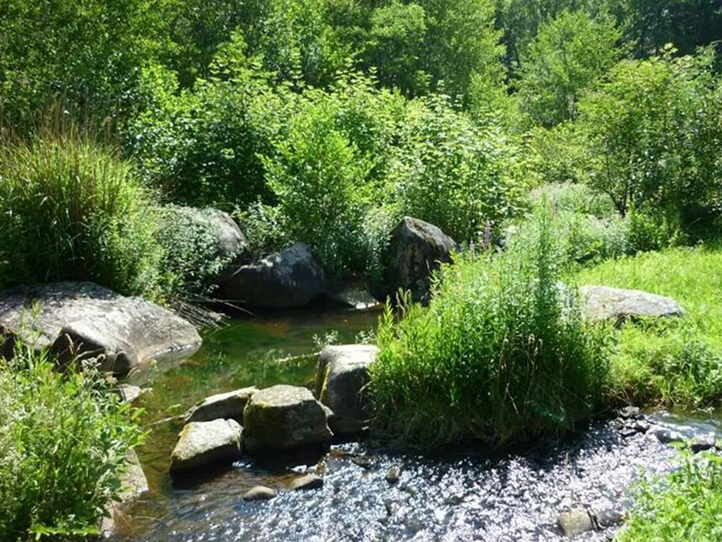 Villa Moulin De Record Ferrieres  Esterno foto